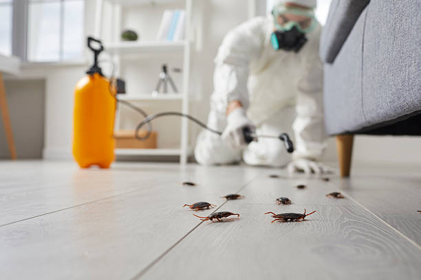 Trusted Fumigation Services service in Smithville, TN - Nex Pest Control